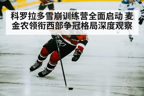 hockey player skating